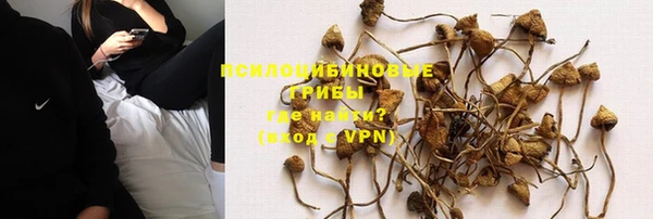 герыч Семилуки