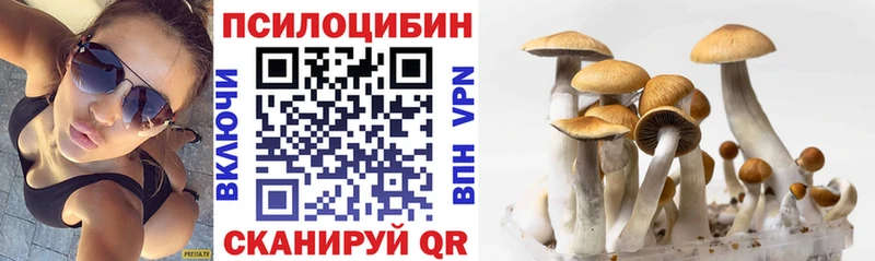 Купить закладки Юхнов Галлюциногенные грибы мухоморы