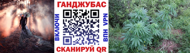 Купить где Юхнов Каннабис OG Kush